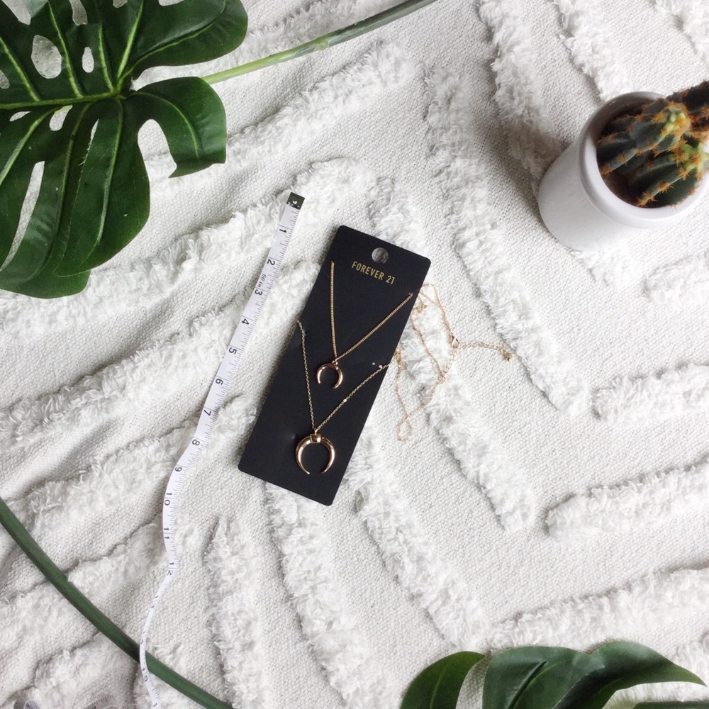 NWT Double Horn Necklace Layered Design